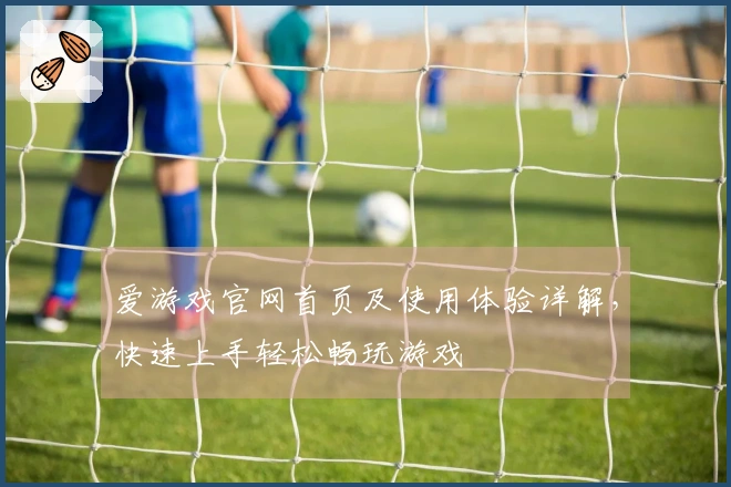 爱游戏官网首页及使用体验详解,快速上手轻松畅玩游戏